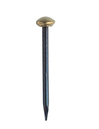 Framer Supply Picture Hanging Brass Capped Steel Nail, 1 inch, Pack of 100